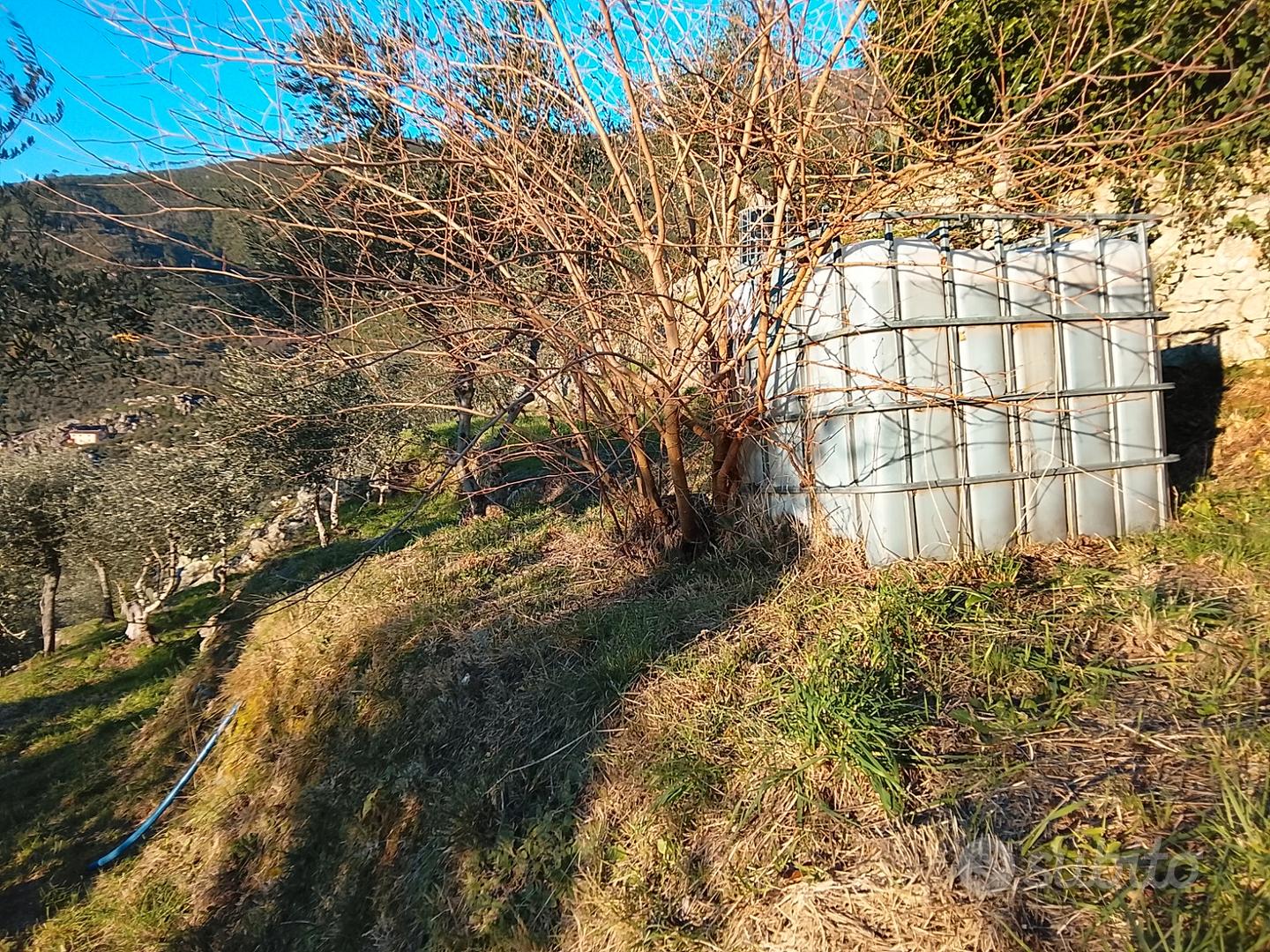 Annesso con terreno - Vista 4