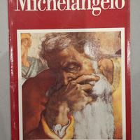 Libro d'arte Michelangelo ed. Oggi Electa