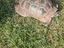 Immagine 3