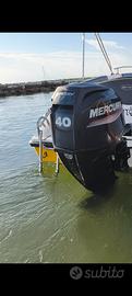 Mercury 40 60 2019