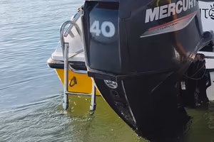 Mercury 40 60 2019