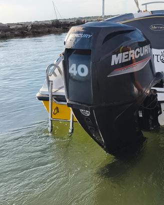 Mercury 40 60 2019