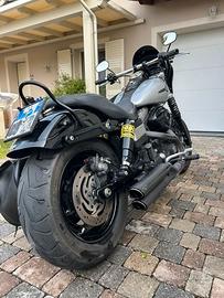 FAT BOB  fxdf