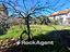 Immagine 19