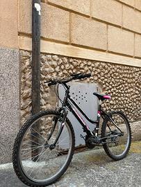 Bicicletta donna