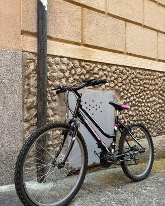Bicicletta donna