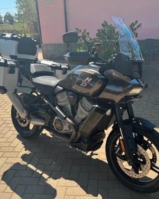 Harley Davidson Pan America 1250 - 2021