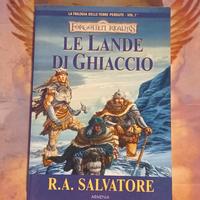Le lande di ghiaccio di R.A. Salvatore Forgotten r