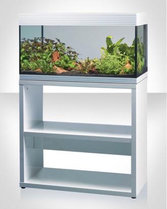Acquario