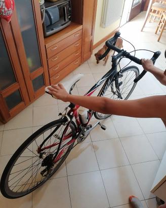 bicicletta specialized