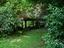 Immagine 18