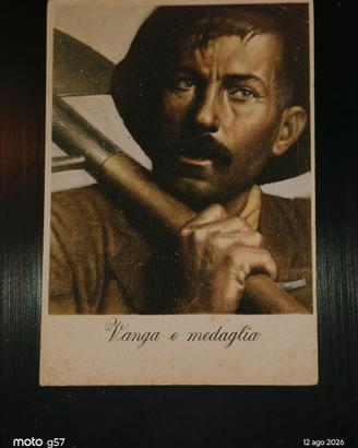  cartolina postale