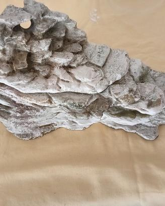 isola per acquario tartarughe 