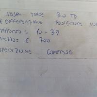 Differenziale posteriore usato nissan trade