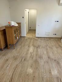 Appartamento piano terra con giardino