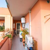 Ampio appartamento uso investimento