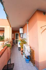 Ampio appartamento uso investimento