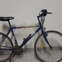 Mountain-bike vintage