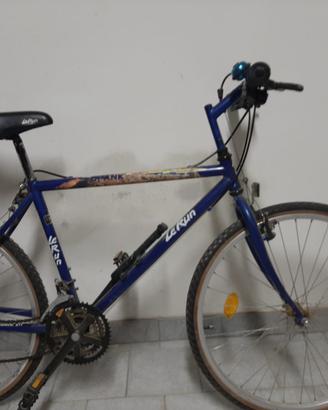 Mountain-bike vintage