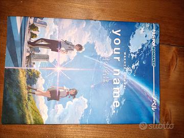 Your name- romanzo