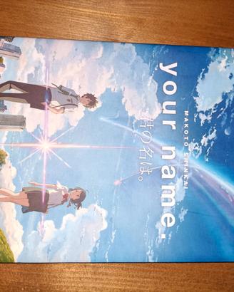 Your name- romanzo