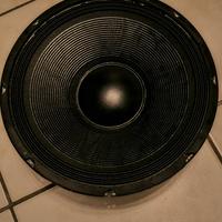 woofer 12" 30 centimetri 