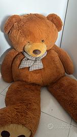 orso gigante peluche