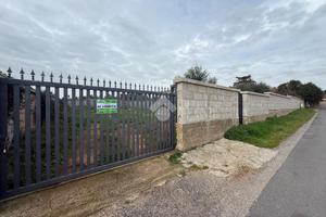 TER. RESIDENZIALE A NETTUNO