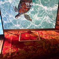 HP 22fw 21.5-inch Display