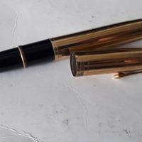 Penna stilografica Marca waterman