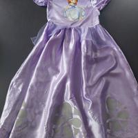 Vestito di Carnevale Principessa Sofia