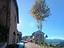 Immagine 12
