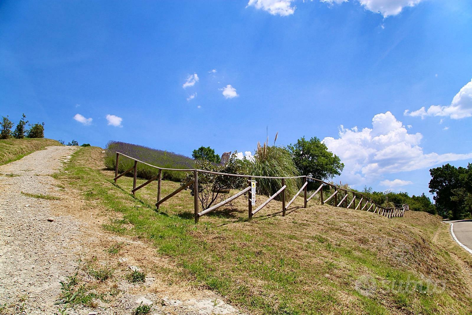 Terreno agricolo - Vista 5