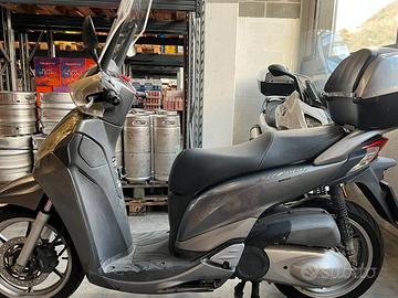 Scoter