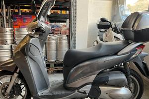 Scoter