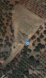 Terreno c.da "Pezza le Monache" Villa Castelli