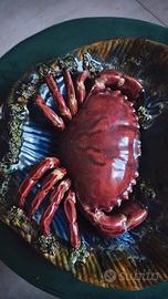 Piatto vintage ceramica maiolica granchio Portugal