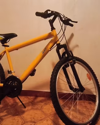 Mountain bike , bici ragazzo 24"
