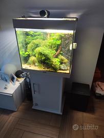 Acquario Juwel Lido
