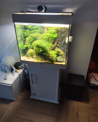 Acquario Juwel Lido