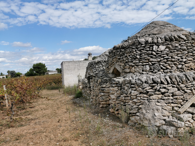 Terreno agricolo con trulli dell'Ottocento