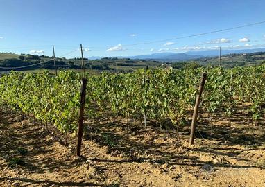 Rustico / Casale di 539 m² con più di 5 locali e b