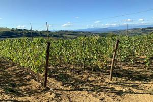 Rustico / Casale di 539 m² con più di 5 locali e b