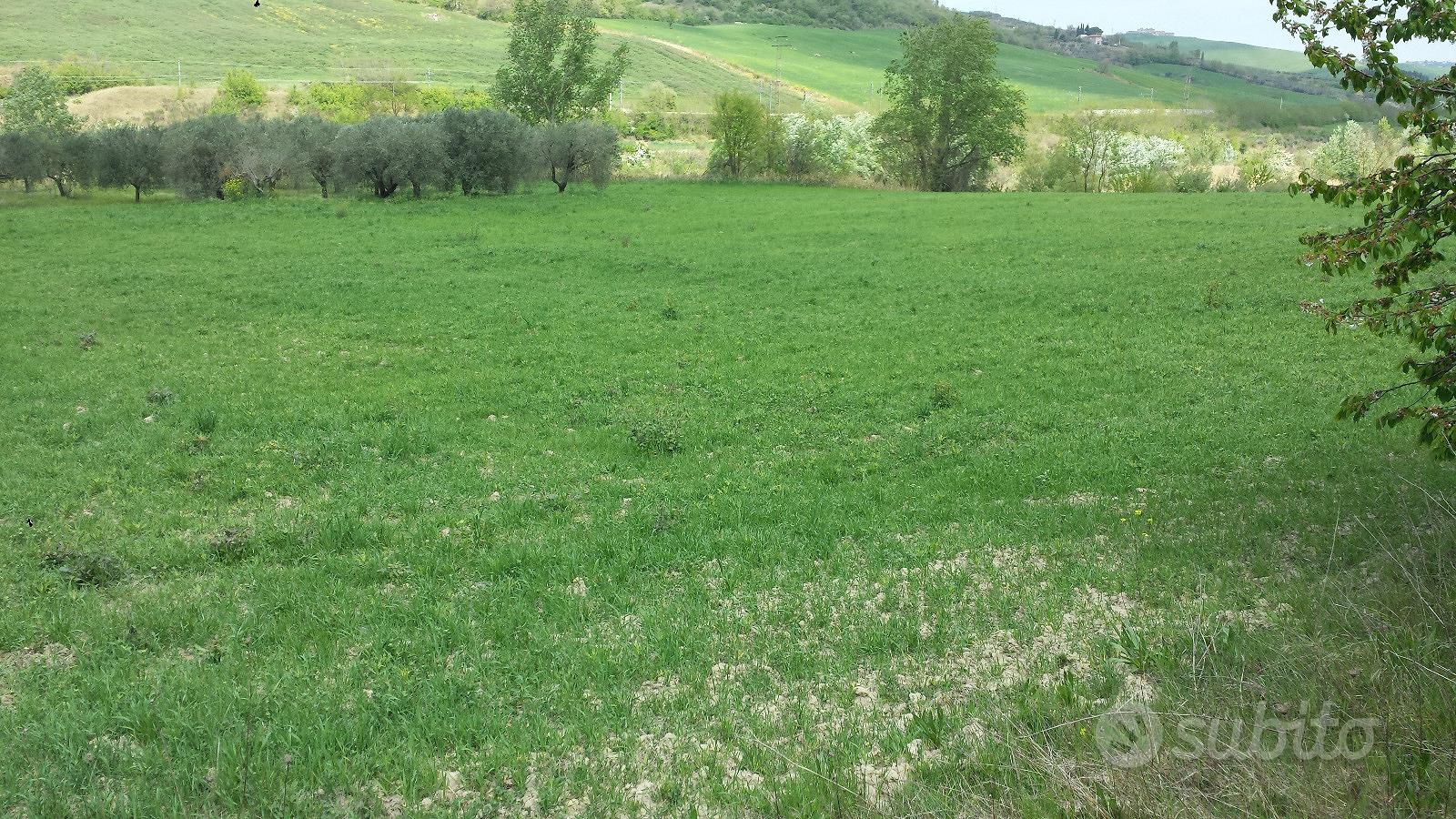 Terreno Agricolo - Vista 5