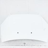 51841326 COFANO ANTERIORE FIAT DOBLO II (223) 1.6 