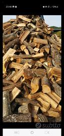 legna da ardere di solo quercia secca già segata 