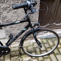 bici uomo