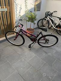 Bicicletta ragazza nera e rosa