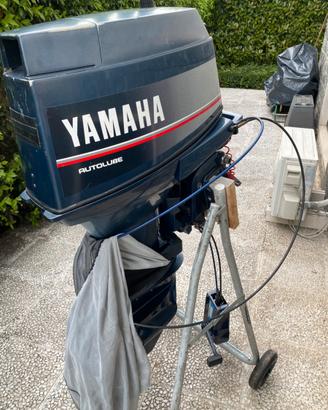 Motore yamaha y 25?
