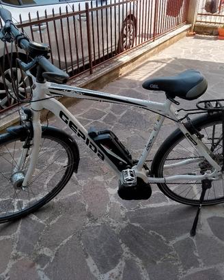 Bicicletta elettrica Bosch Gepida Alboin 1000